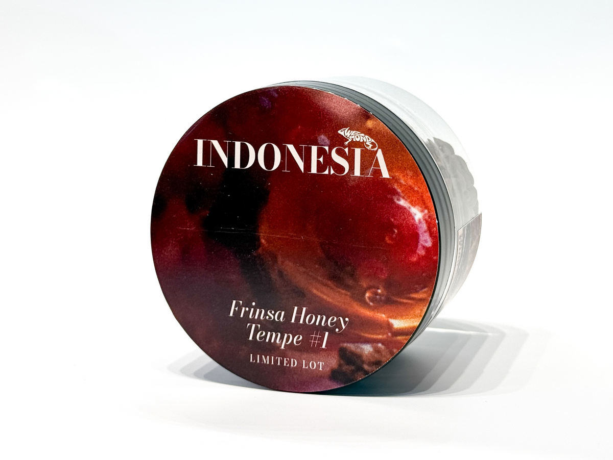 Indonesia Frinsa Honey Tempe #1