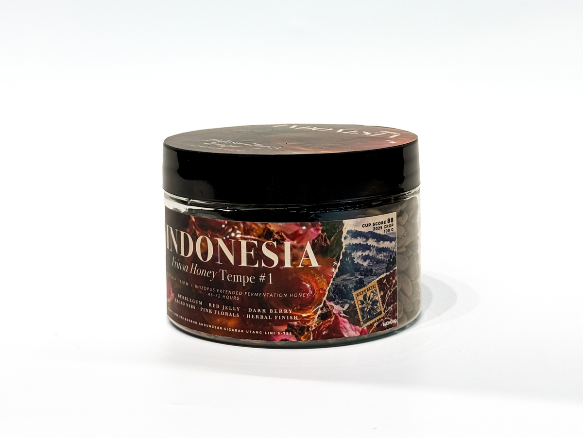 Indonesia Frinsa Honey Tempe #1