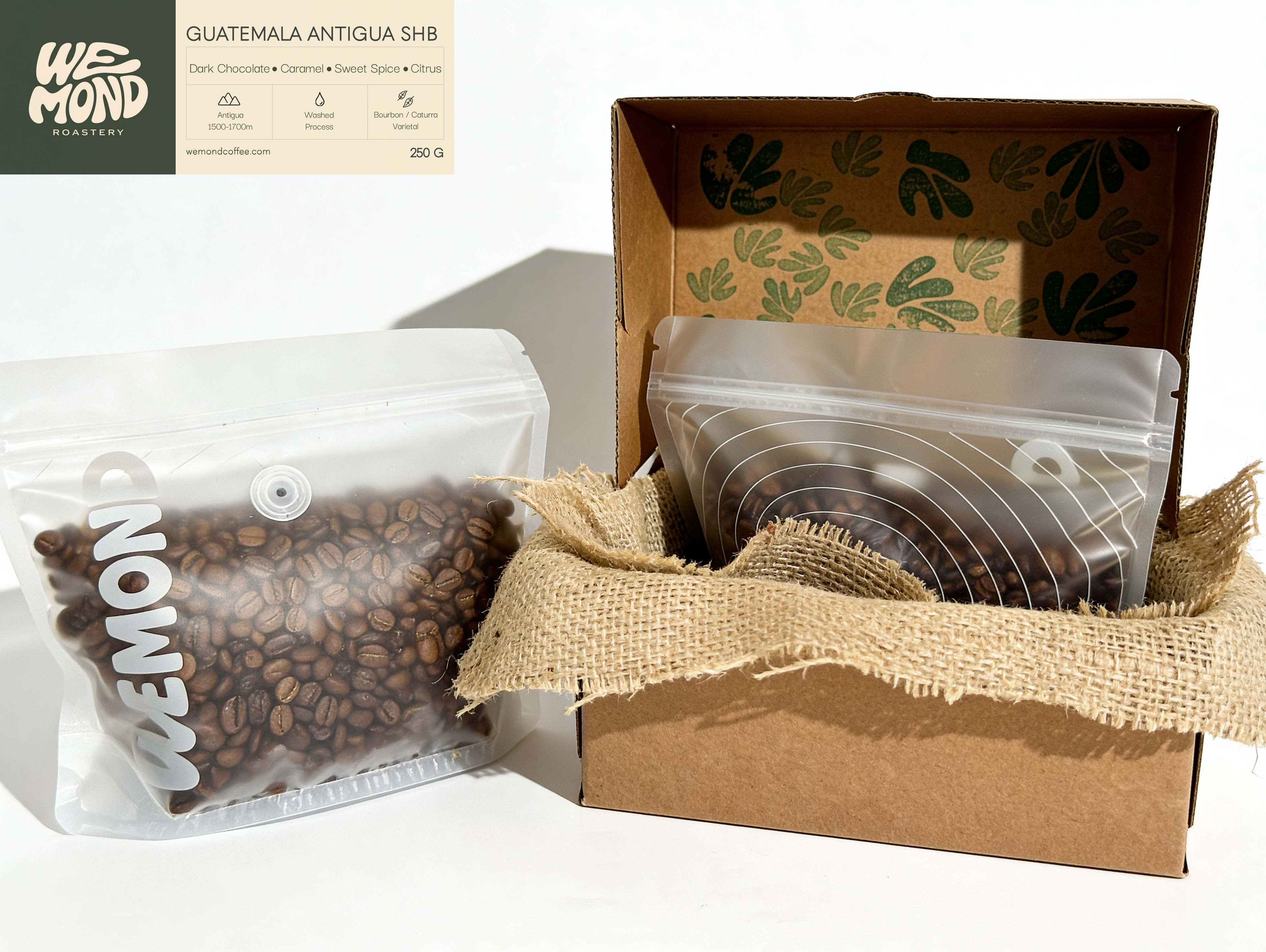 Guatemala Antigua SHB - 250g