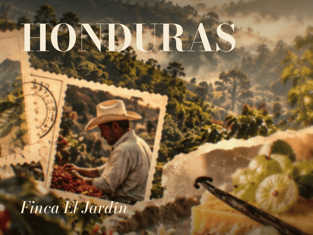 Honduras Finca El Jardín